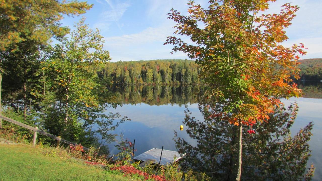 Motel Ours Bleu Lac-Saguay Екстериор снимка